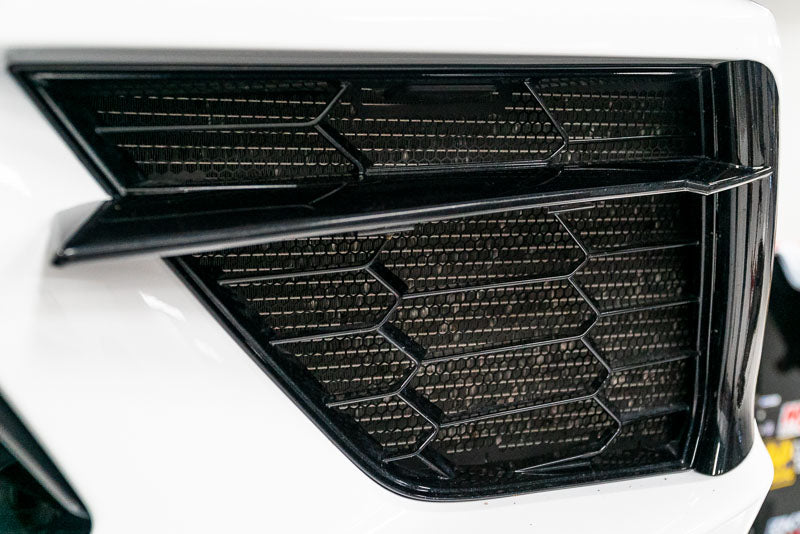 Paragon Grill guards installed for reference