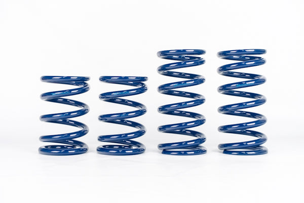 C8 Corvette ZR1 Lowering Springs by Hyperco | Paragon Performance