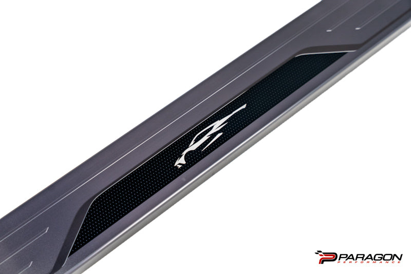 GM C8 Corvette Silhouette Stainless Steel Door Sill Plates - PAIR