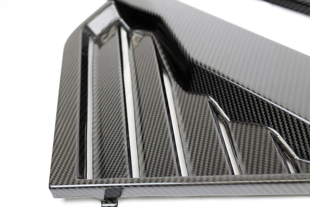 APR Performance Carbon Fiber Engine Panels - C8 Corvette
