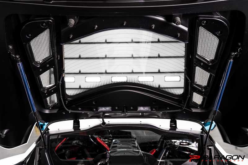 Paragon Performance C8 Corvette Carbon Fiber Hood Struts - Blue