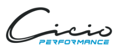 Cicio Performance - Georgia logo