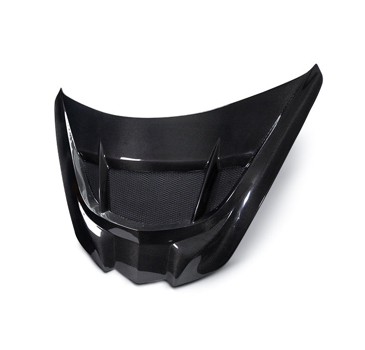 C8 Corvette ZR1 Double Sided Carbon Fiber Hood 