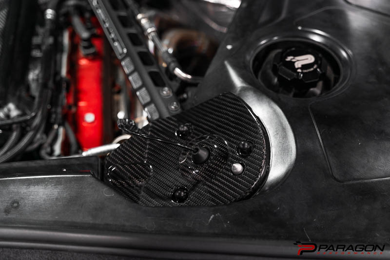 Paragon C8 Corvette Carbon Fiber Rear Strut Tower Covers